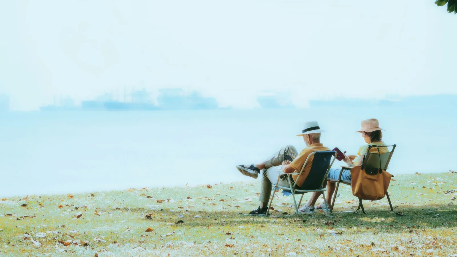 An older couple relaxing in chairs beside the ocean
